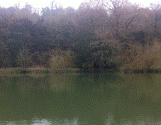 PEG 57 Pictures